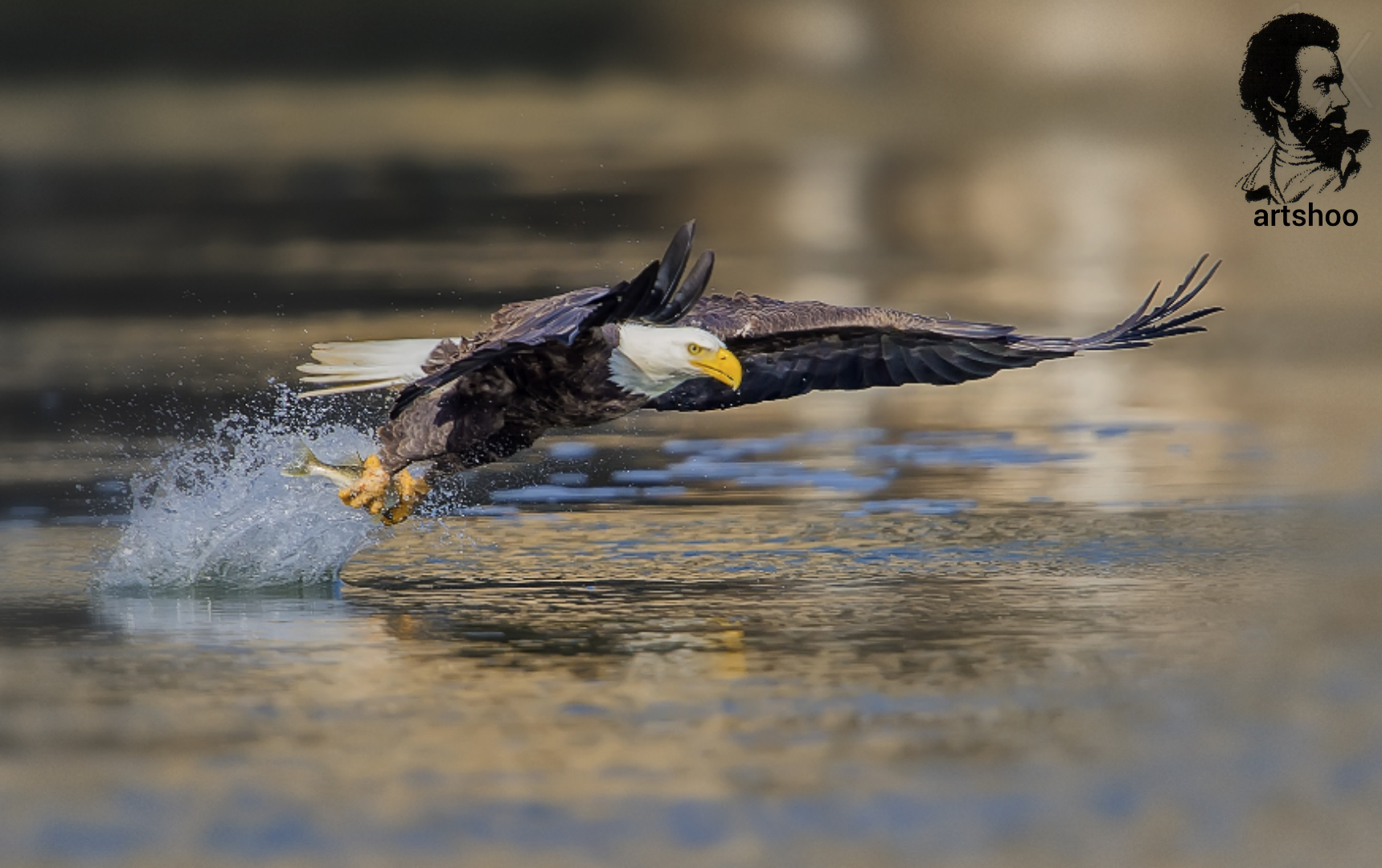 مدل رنگ روغن اورژینال